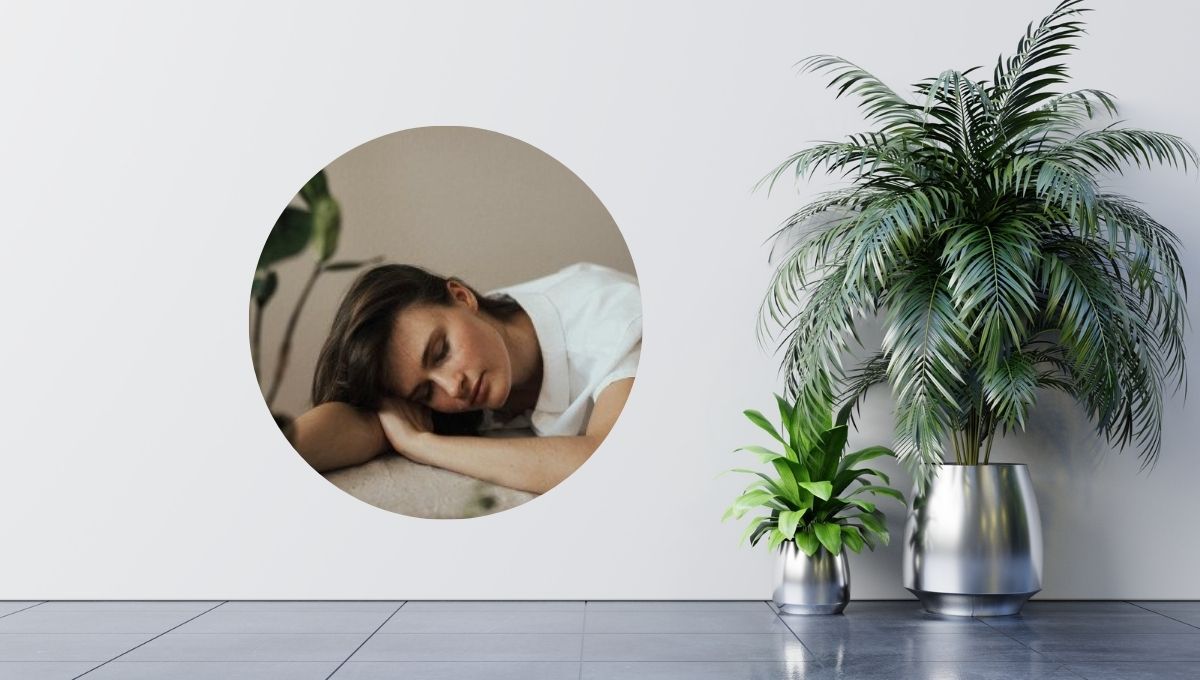 Fuente canva Fuente canva