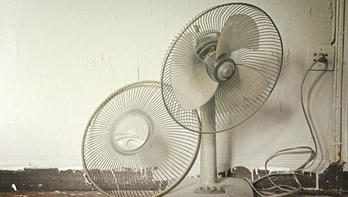 Con un ventilador viejo y un poco de imaginación