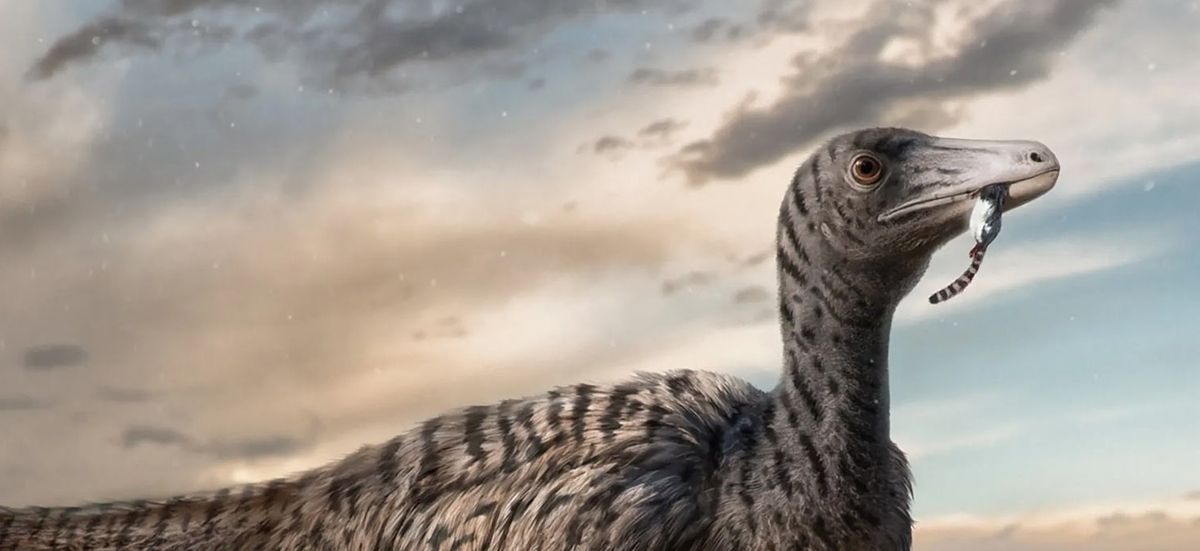 Ilustración del dinosaurio nuevo hallado en China.