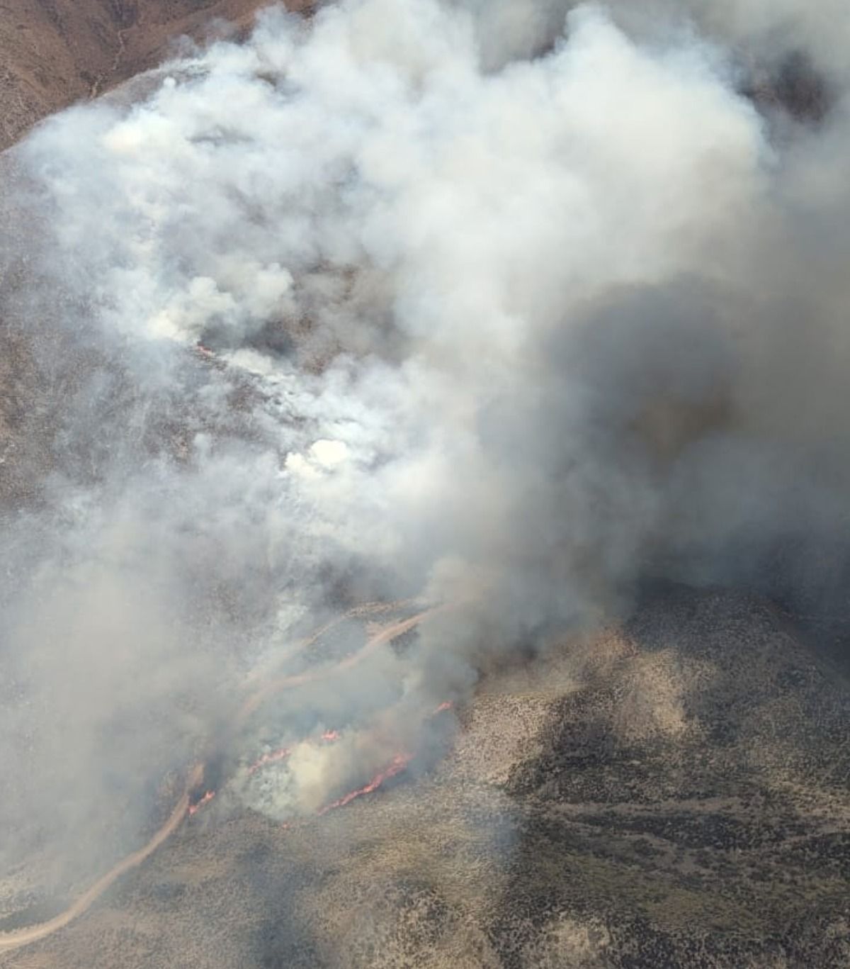 Una foto del incendio que se desató este sábado en Mendoza. Una foto del incendio que se desató este sábado en Mendoza.