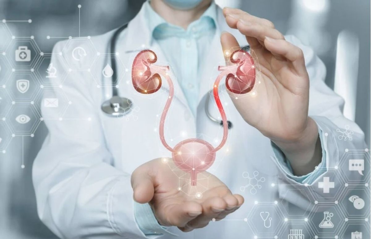 Una vez confirmado el diagnóstico de cáncer de próstata, es muy importante el diálogo entre el paciente y el médico tratante