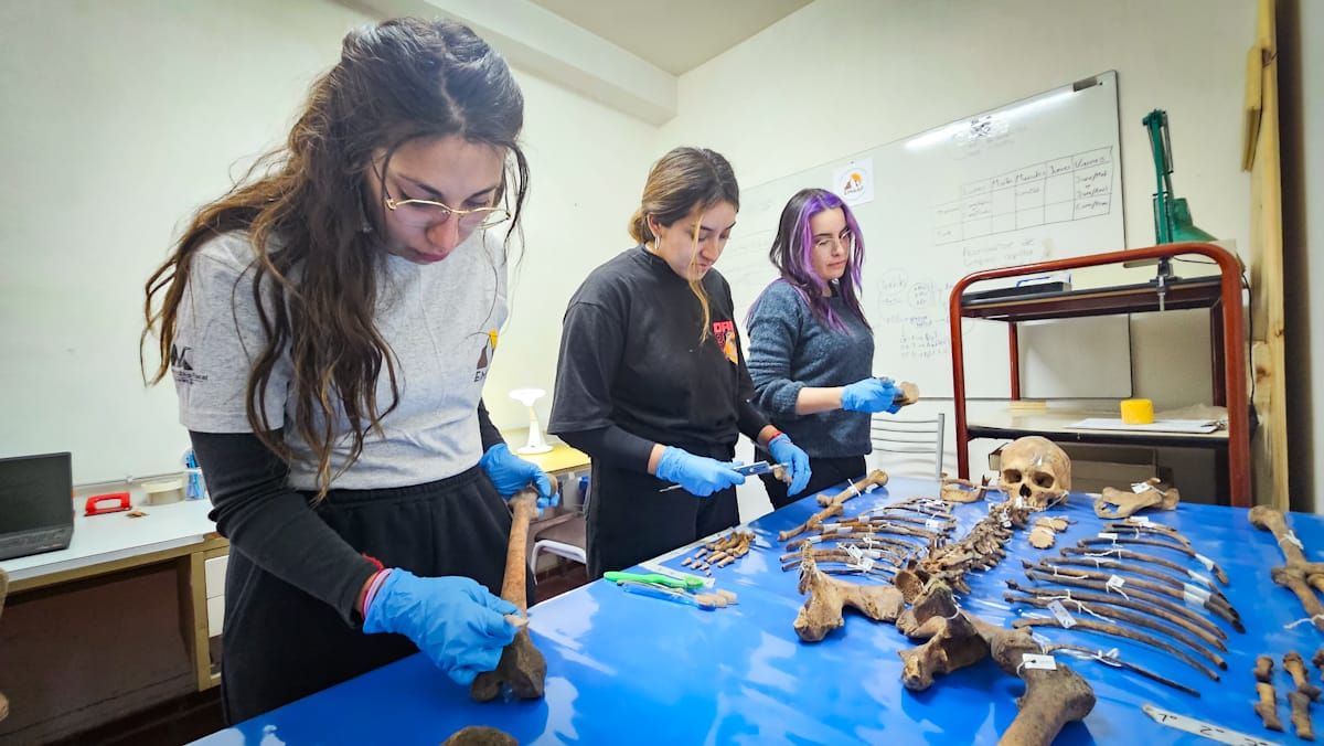 El equipo de trabajo de la Osteoteca de Mendoza El equipo de trabajo de la Osteoteca de Mendoza