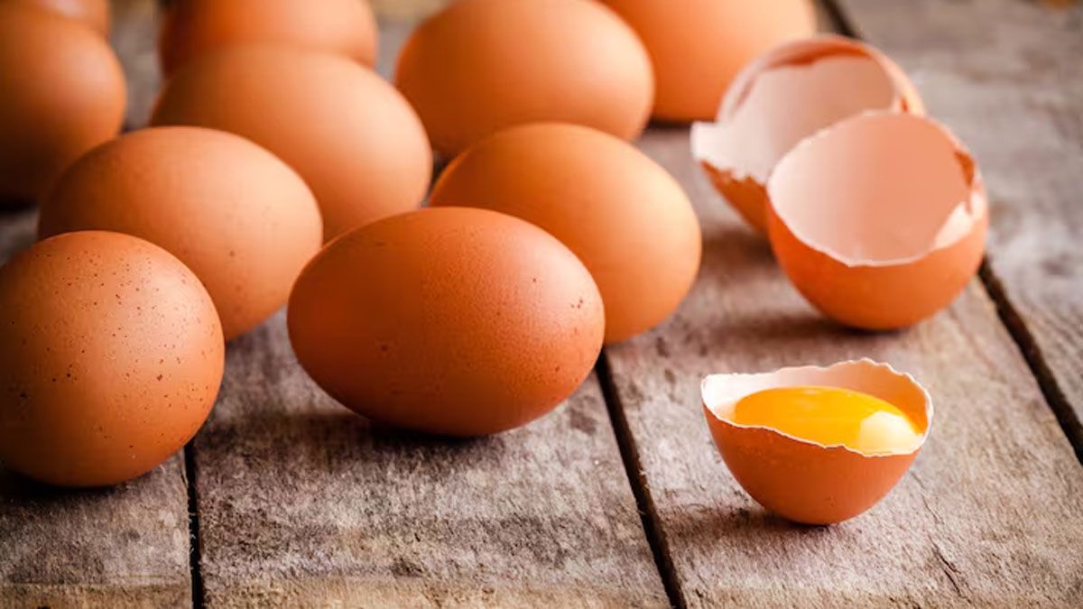 Los huevos de campo son más beneficiosos para la salud que los huevos industrializados.