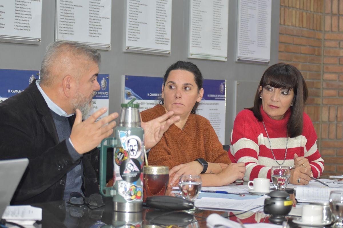 El subsecretario de Cultura estuvo en la comisión defendiendo el proyecto de ley.