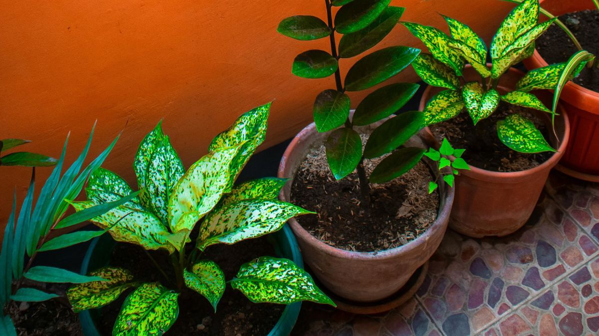 Descubrí cuál es el grave error que casi todos cometen. Foto: Pexels