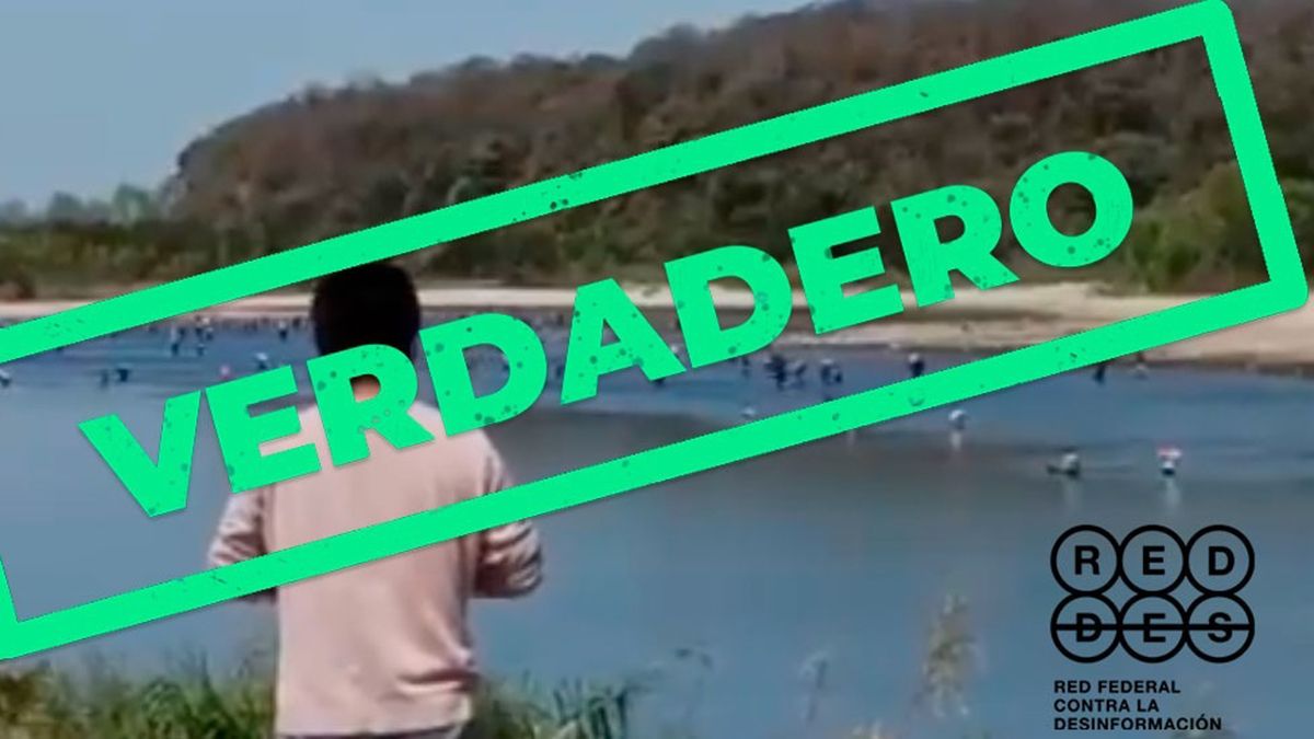 Salta pidió ayuda a la Nación para reforzar las fronteras&nbsp;