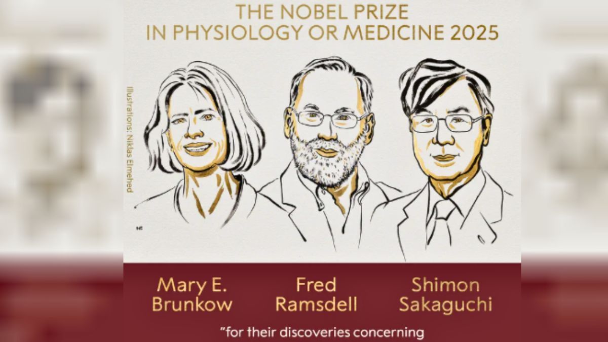 Los norteamericanos Mary E. Brunkow y Fred Ramsdell y el japonés Shimon Sakaguchi ganaron el Premio Nobel de Medicina.