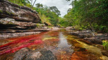 Impidieron la exploración petrolera en un paraíso