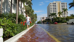 Del estado de Florida, ciudades como Miami Beach, Miami Shore, El Portal y Little River&nbsp;quedarían tapadas por el agua