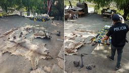 Hicieron 16 allanamientos donde encontraron animales muertos, pieles, armas de fuego, carne en mal estado en venta y 4 personas quedaron detenidas. Hicieron 16 allanamientos donde encontraron animales muertos, pieles, armas de fuego, carne en mal estado en venta y 4 personas quedaron detenidas.