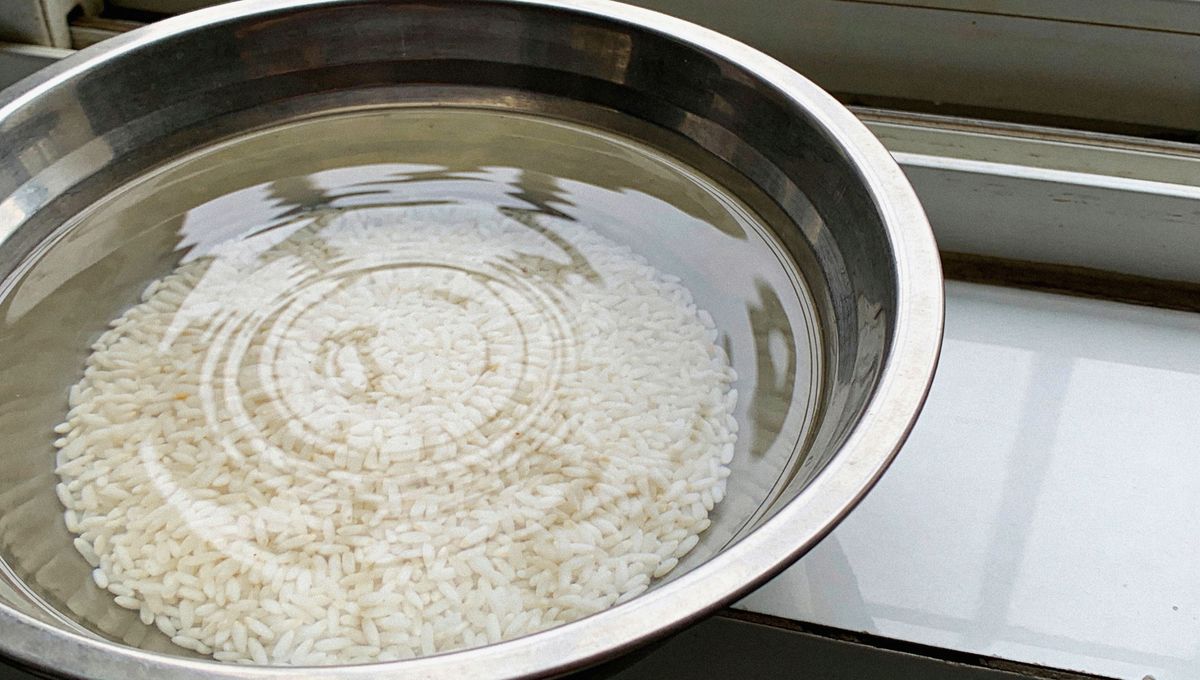 Una tierra bien nutritiva es la base para que las plantas crezcan sanas y bellas. Una tierra bien nutritiva es la base para que las plantas crezcan sanas y bellas. 