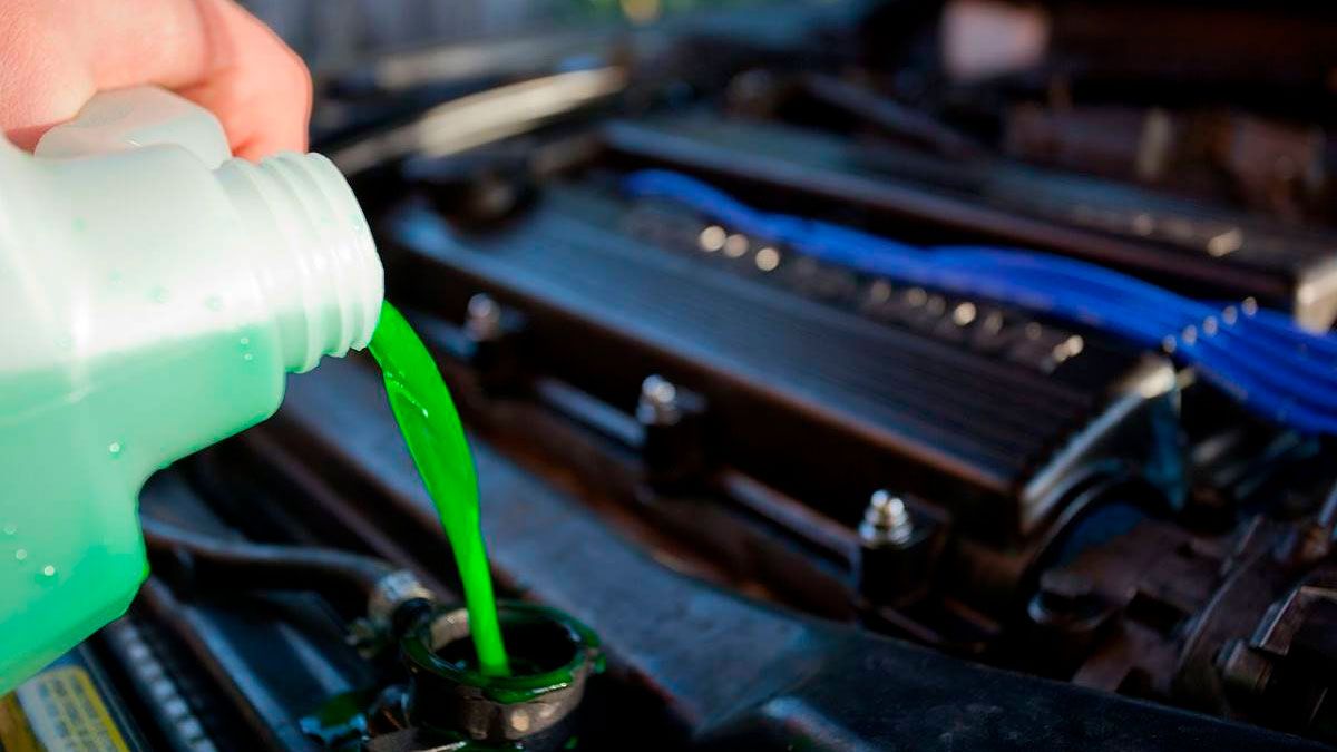 Una sobresdosis de etilenglicol puede causar daño al cerebro, los pulmones, el hígado y los riñones.