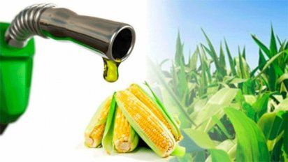Un aumento del 55,9% en los precios para el bioetanol elaborado a base de maíz aplicó este jueves el Gobierno. 
