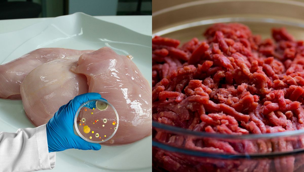 Estos alimentos se pueden contaminar con bacterias y microbios peligrosos para la salud. Estos alimentos se pueden contaminar con bacterias y microbios peligrosos para la salud. 