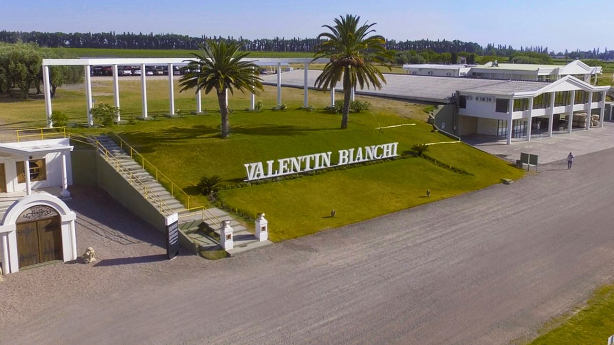 Bodegas Bianchi busca evitar el concurso de acreedores y el Gobierno no descartó una ayuda