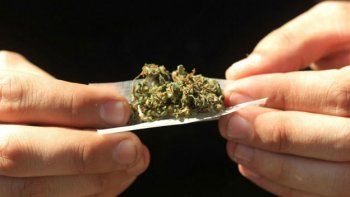Los uruguayos se van animando a registrarse para consumir marihuana