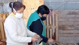 En la actualidad son 15 mujeres jóvenes y adultas, entre 25 y 55 años, las que conforman el grupo de hilanderas.
