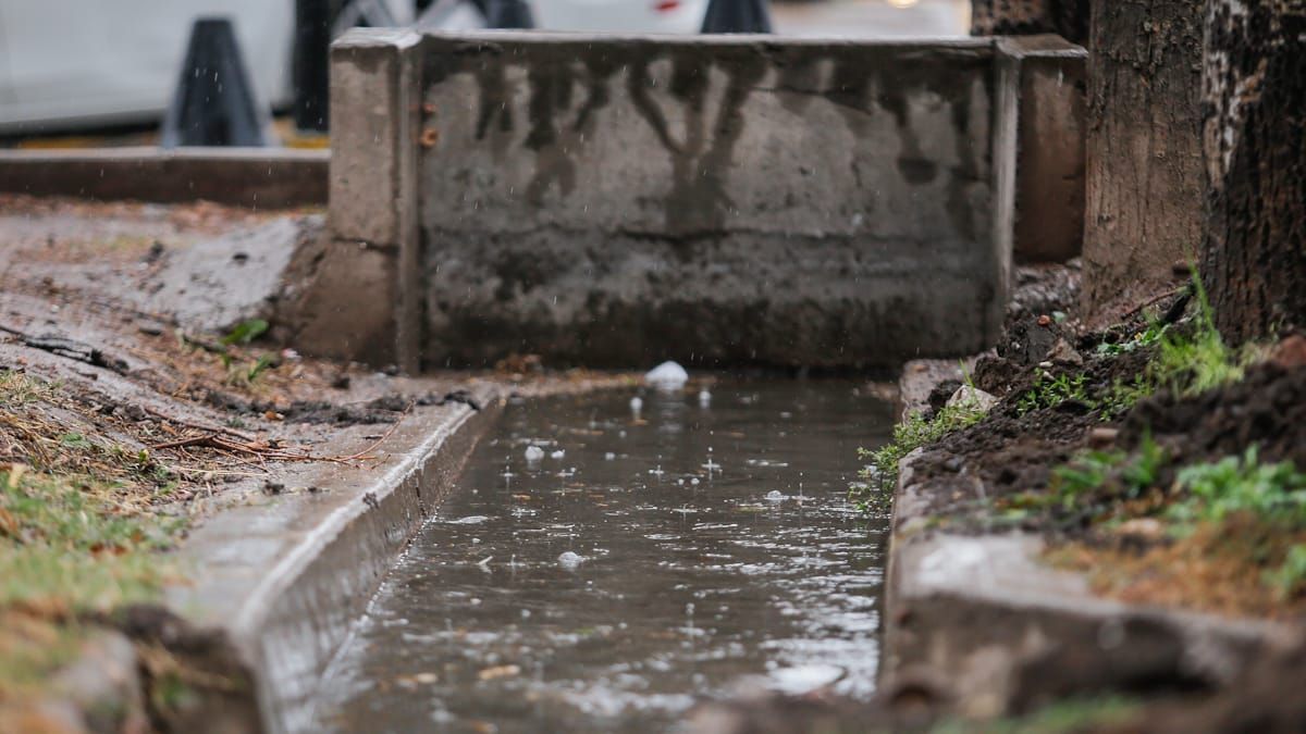 Evitá salir durante un fenómeno meteorológico como tormentas. Evitá salir durante un fenómeno meteorológico como tormentas.