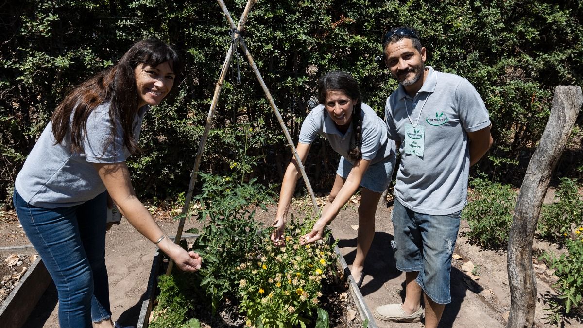 Tres emprendedores mendocinos venden semillas agroecológicas