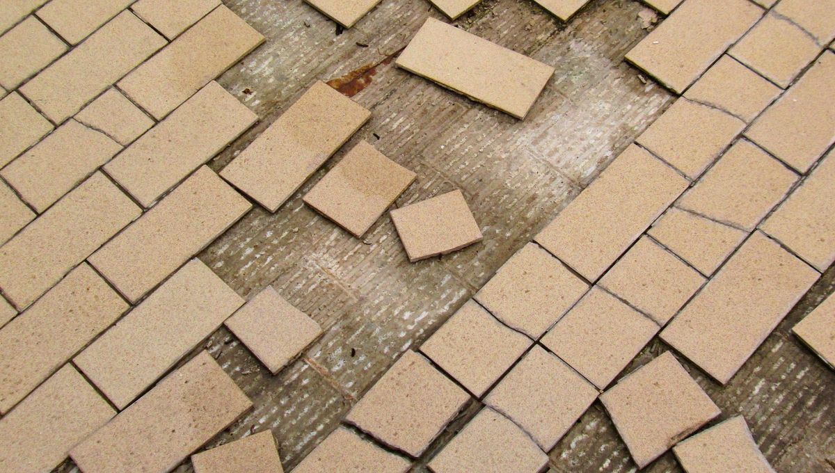 No dejes las baldosas de la casa despegadas o sueltas por mucho tiempo. No dejes las baldosas de la casa despegadas o sueltas por mucho tiempo. 