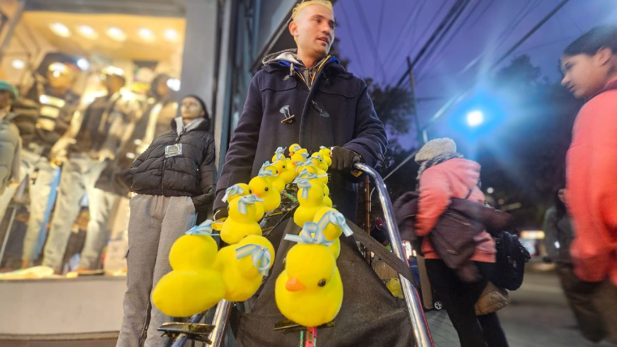 Patitos con escarapela, otra forma de estar a la moda en estas fechas patrias. Patitos con escarapela, otra forma de estar a la moda en estas fechas patrias.