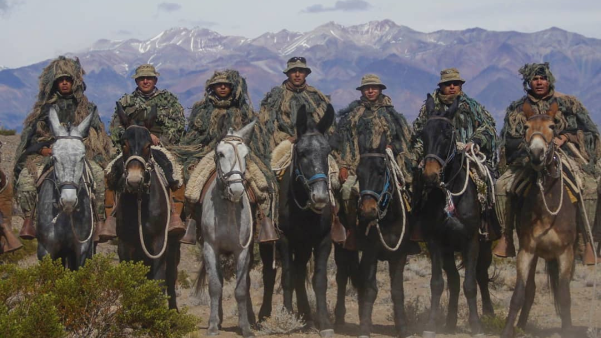 Las personas seleccionadas serán informadas para realizar el Núcleo de Instrucción.
