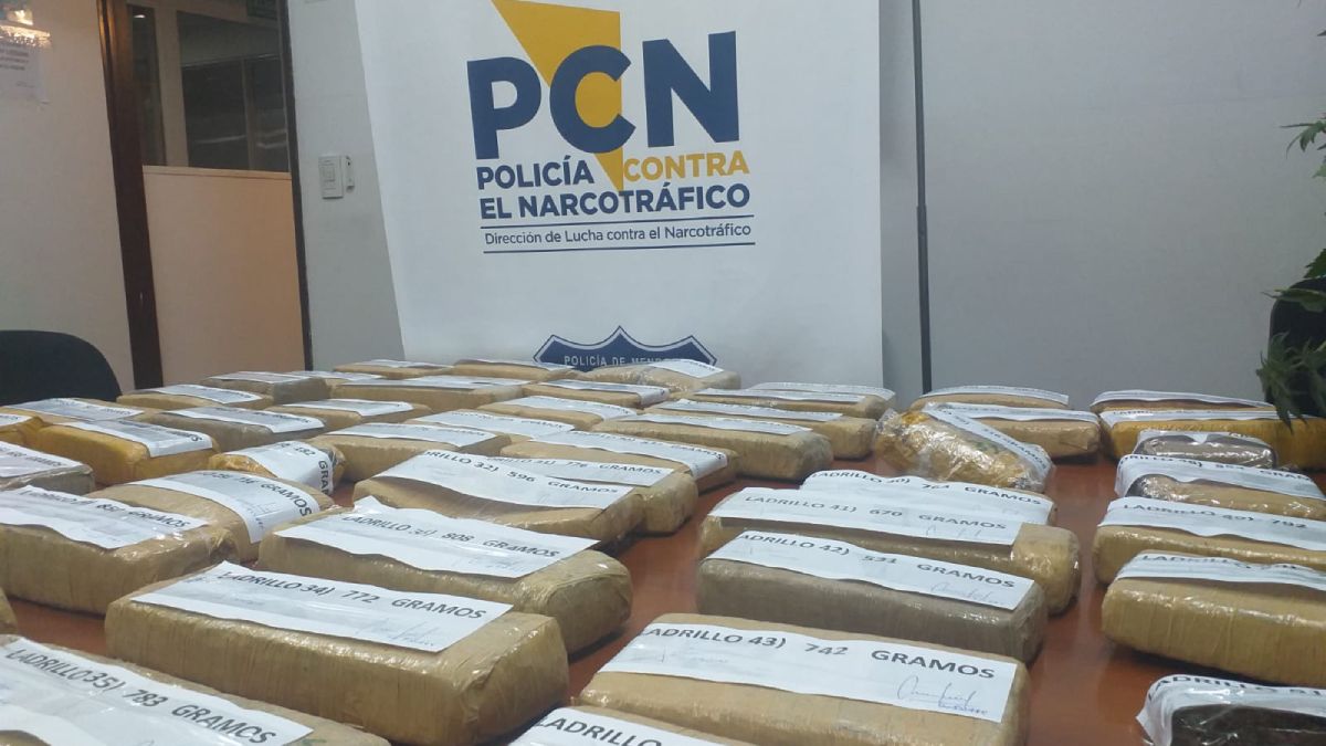 La lucha contra el narcotráfico ha arrojado resultados positivos para el Ministerio de Seguridad de Mendoza en este primer semestre del año.