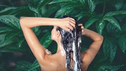 La planta shampoo que sirve para lavarse el pelo sin tener que usar productos tóxicos