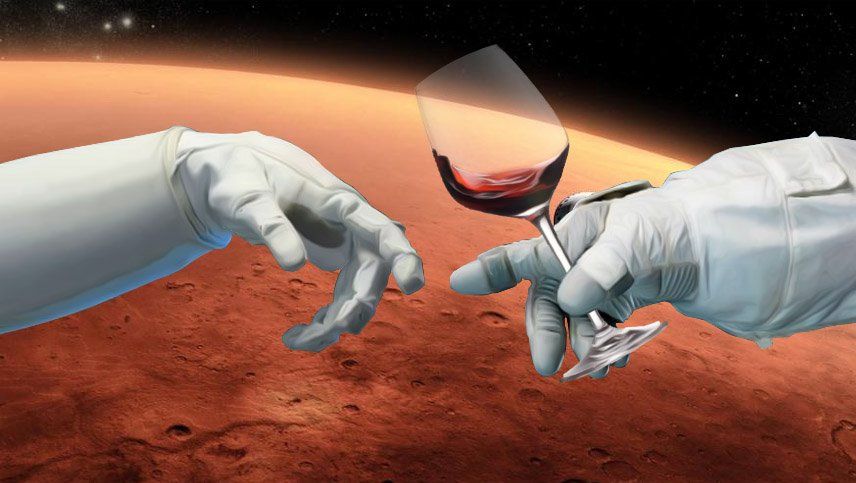Según Harvard y la NASA el vino tinto protegería la salud en el espacio
