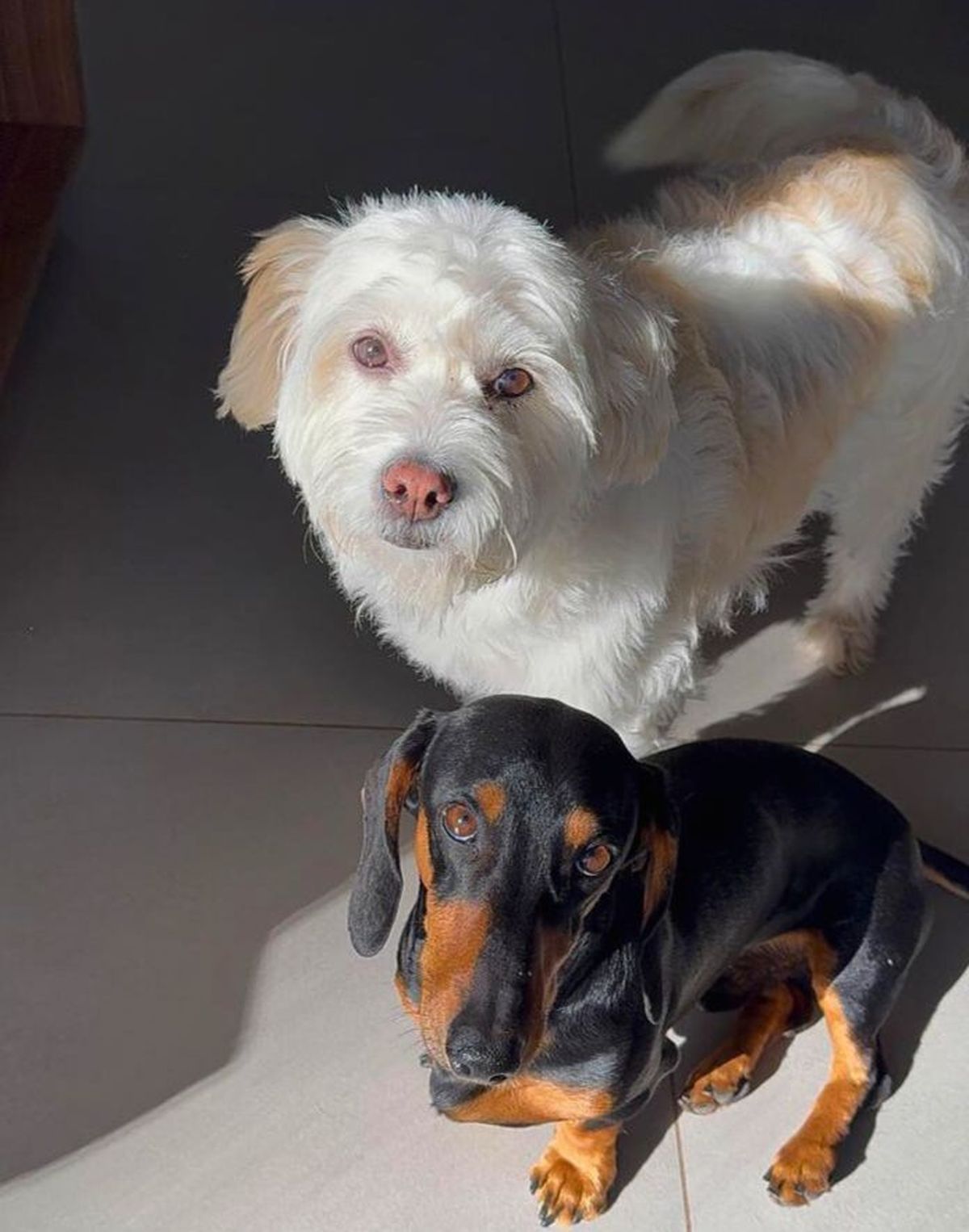 Los nombres de sus vinos fueron elegidos por el público a través de Instagram. Floki y China son dos personajes famosos. Los nombres de sus vinos fueron elegidos por el público a través de Instagram. Floki y China son dos personajes famosos.