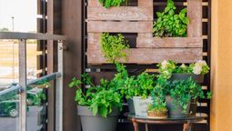 Reciclaje: creá tu propio jardín vertical con palets.