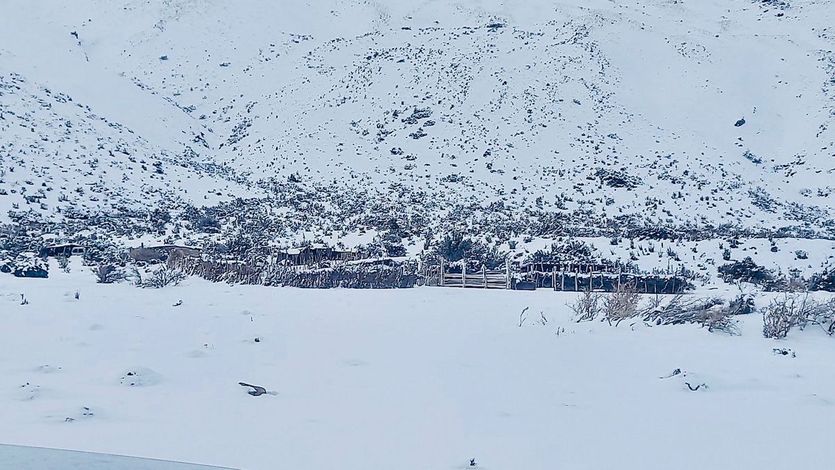 La comuna de San Rafael debió salir a auxiliar a puesteros de la zona de El Sosneado.&nbsp;