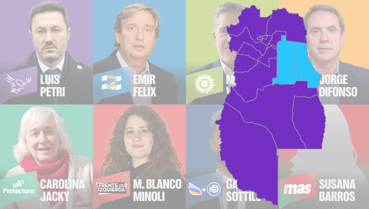 Así votaron los mendocinos a diputados nacionales: resultados de las elecciones 2025 municipio por municipio. Así votaron los mendocinos a diputados nacionales: resultados de las elecciones 2025 municipio por municipio.
