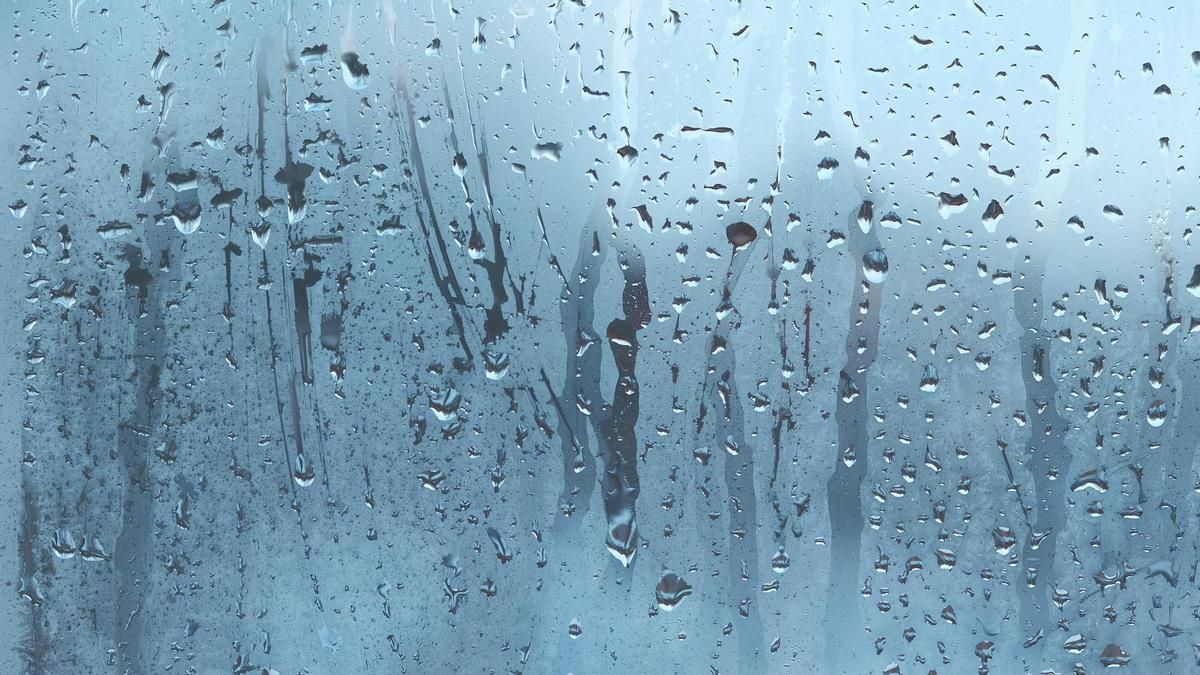 Es importante desempañar los cristales del auto antes de salir de casa