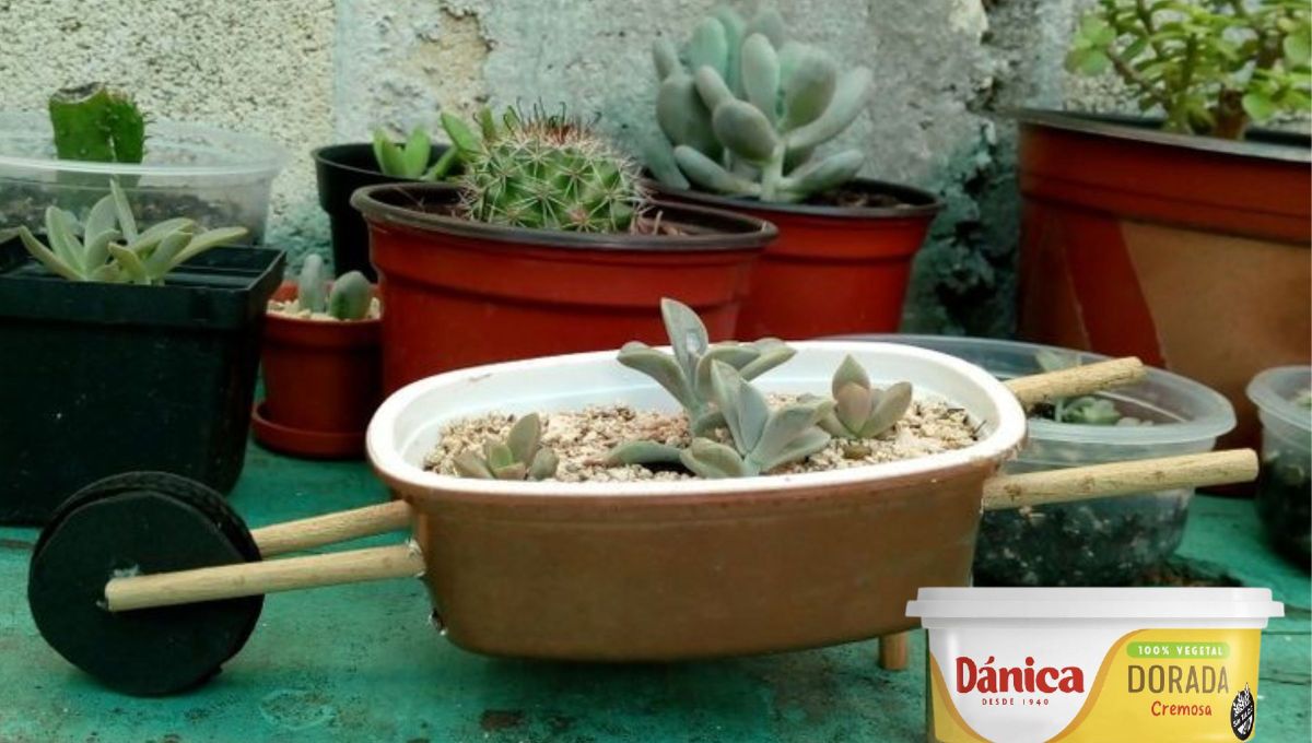 Gracias a esta idea de reciclaje podr&aacute;s transformar un simple envase de manteca en un tesoro para decorar tu casa.