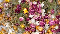 Si se secaron las flores de tu florero, no las tires: 5 ideas para reciclarlas