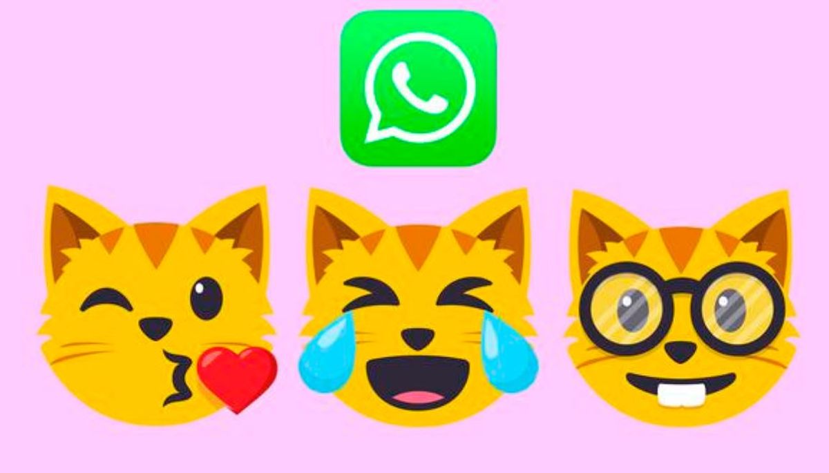 WhatsApp qu significa el gato con ojos de corazones