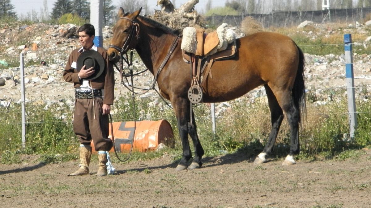 Gauchos de San Rafael denunciaron que les roban los caballos para matarlos y hacerlos milanesa