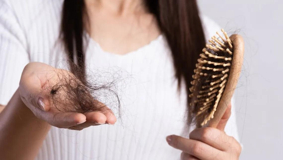 Qué alimentos son los que ayudan a combatir la caída del cabello Qué alimentos son los que ayudan a combatir la caída del cabello