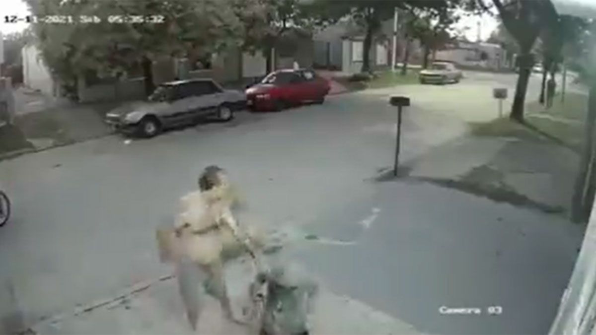 Un vecino obligó a un ladrón a pedir perdón frente a una cámara de seguirdad mientras lo azotaba con un machete.