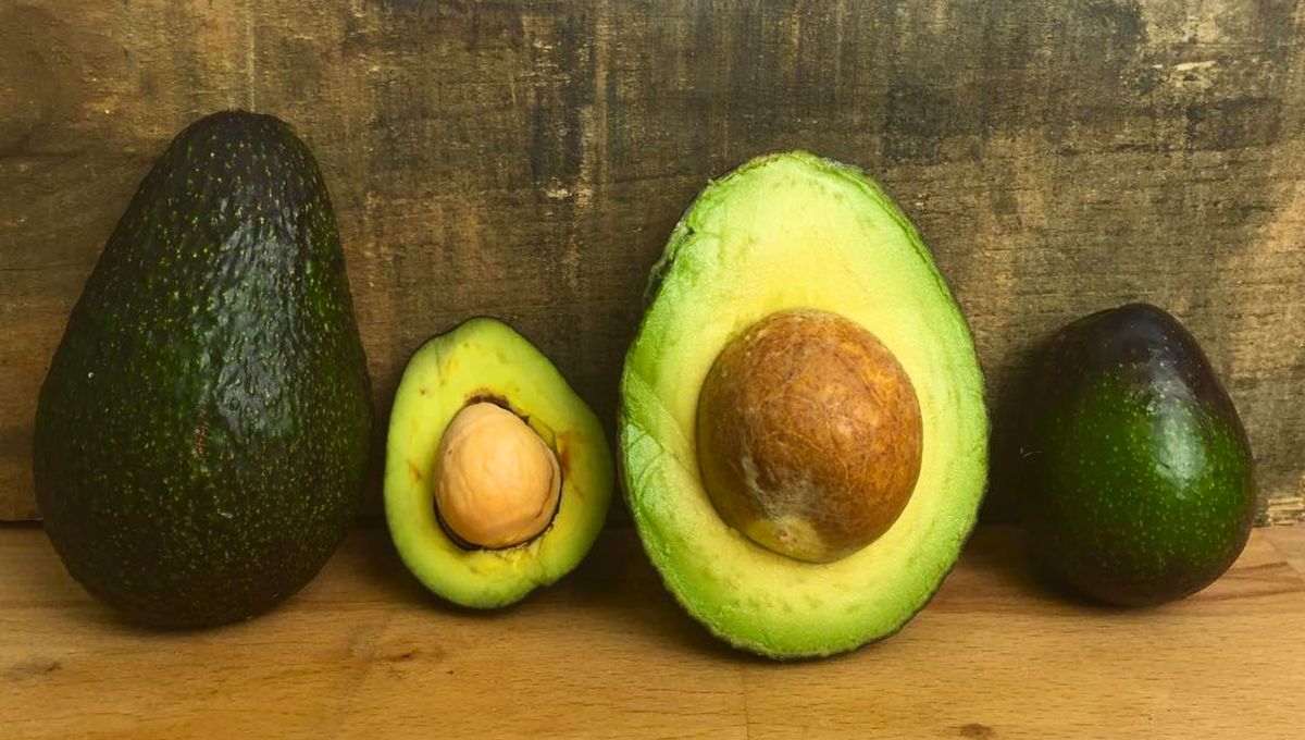 Hay muchos tipos de palta. Hay muchos tipos de palta.