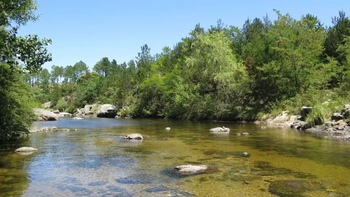 Encontraron maniatada de pies y manos a una mujer a orillas de un río Encontraron maniatada de pies y manos a una mujer a orillas de un río