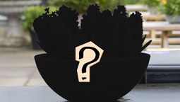 Esta planta no exige cuidados de jardinería complejos.