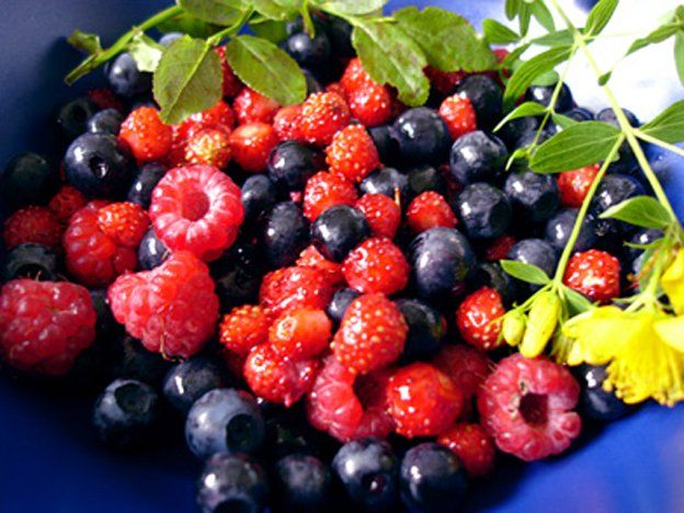 Frutos rojos, mente aguda