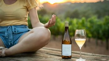 El futuro del vino y las oportunidades de mercado para los que tienen menos alcohol El futuro del vino y las oportunidades de mercado para los que tienen menos alcohol