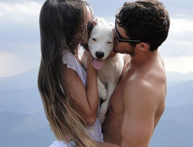 El perro es el tercero en discordia en muchas parejas