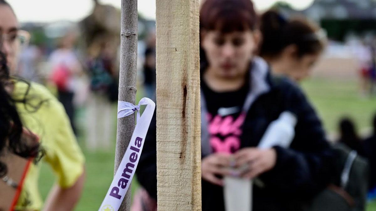 A cada árbol plantado le colocaron una cinta con el nombre de cada víctima.