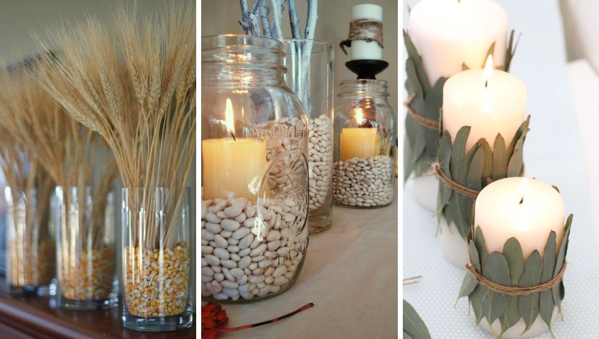 Reciclaje de semillas y frascos. Reciclaje de semillas y frascos.