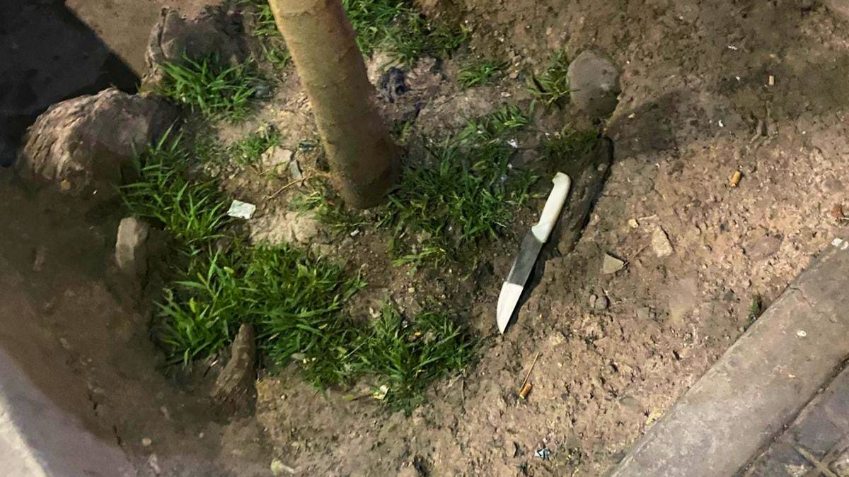 El arma blanca que ten&iacute;a el hombre detenido.