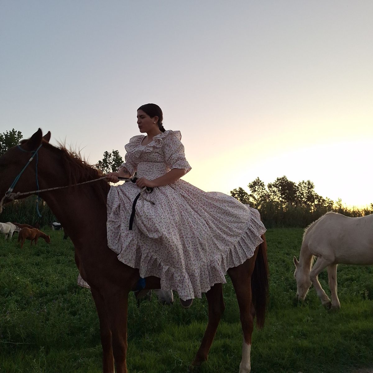 La Reina de la Flor de la Tradición se vino de La Paz a Guaymallén para estudiar kinesiología. Quiere dedicarse a la equinoterapia. La Reina de la Flor de la Tradición se vino de La Paz a Guaymallén para estudiar kinesiología. Quiere dedicarse a la equinoterapia.